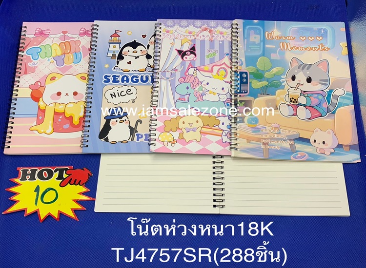 10 โน๊ตห่วงหนา 18K TJ4757 (โหล)